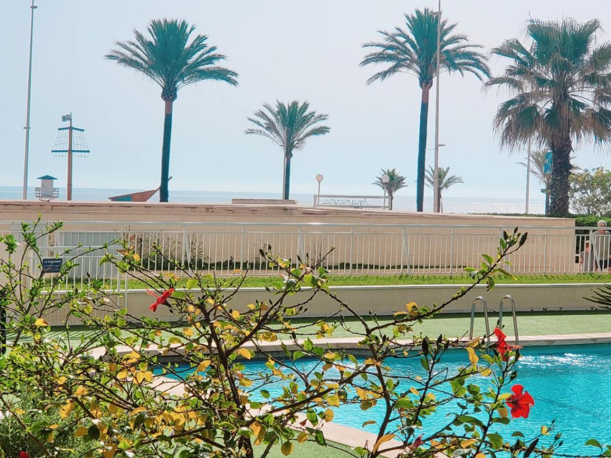 Aguamarina Gandia Lejlighed Playa de Gandia Eksteriør billede
